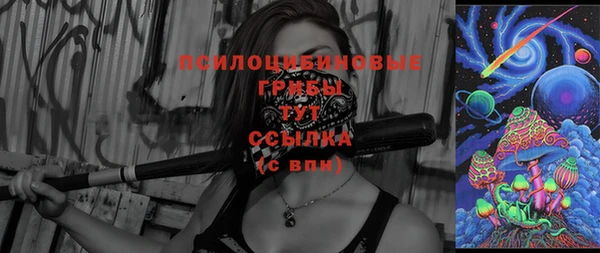 2c-b Алзамай