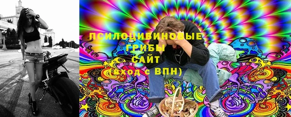 2c-b Алзамай